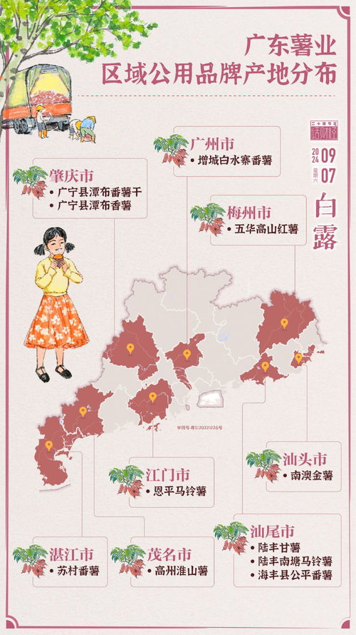 白露将至，广东薯丰盈登场国际薯博会
